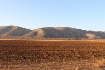 landscape in the desert