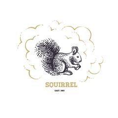 Logotype of the squirrel.