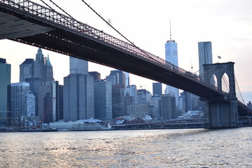 Fototapeta premium NY NY 