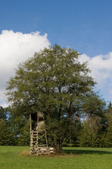 Alter Hochsitz