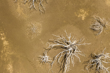 Aerial view of dried up lagoon in the Caribbean