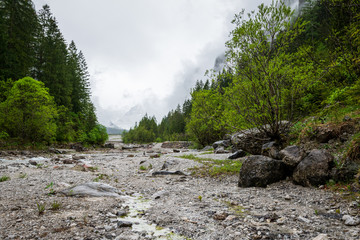 A lot of Water in the Rivers in Bavaria Berchtesgaden with stones and green plants and trees