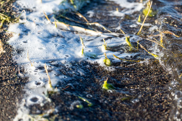 Foam and bubbles on the sand at the beach Pyramid Lake