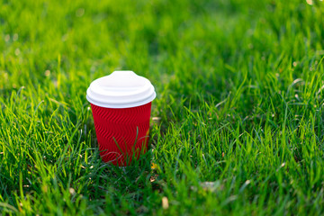 A red disposable cardboard cup with hot tea stands in fresh green grass.