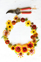 Flower composition with red secateurs on a wooden white background