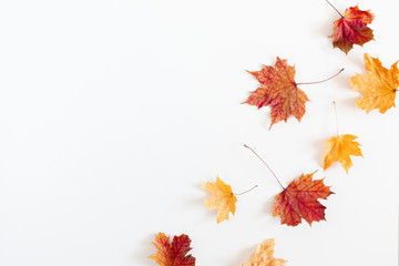 Autumn creative composition. Dried leaves on white background. Fall concept. Autumn background. Flat lay, top view, copy space