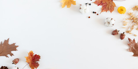 Autumn creative composition. Flowers, dried leaves, cotton flowers on white background. Fall, autumn background. Thanksgiving Day concept. Flat lay, top view, copy space