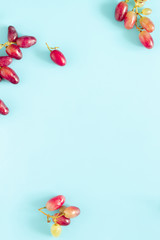 Grape pattern. Frame made of grape on light pastel blue background. Flat lay, top view, copy space