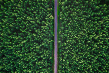 Highway from above
