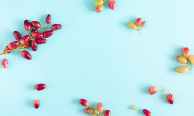 Grape pattern. Frame made of grape on light pastel blue background. Flat lay, top view, copy space