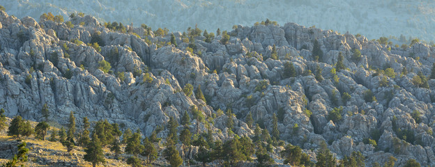 Hard Rocks of Wild Nature