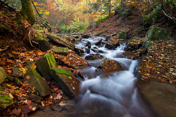 Jesienny górski potok © Grzegorz Targosz