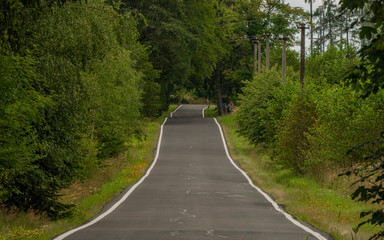 Fototapeta na wymiar Summer asphalt road in dark forest in Krusne hory mountains