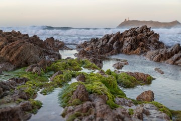 Am wilden Strand von Korsika
