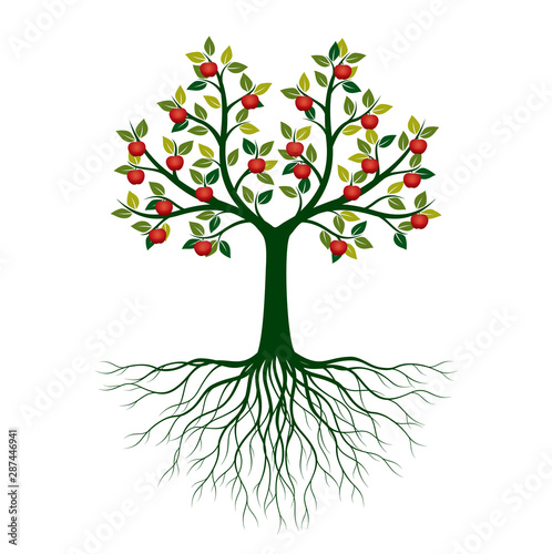 Beautiful Vector Apple Tree On White Background With Roots Vector Illustration And Concept Pictogram Wall Mural Topor Beautiful Vector Apple Tree On White Background With Roots Vector Illustration And Concept Pictogram Wall Mural Topor