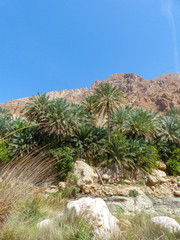 Fototapeta na wymiar Landscape at Wadi Tiwi and Wadi Shab Sultanate of Oman