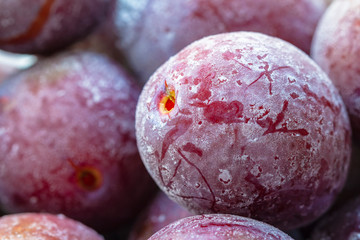 Ripe frozen sweet purple plums with hoarfrost. Natural organic healthy food. Closeup, selective focus