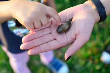 Nature is in our hands