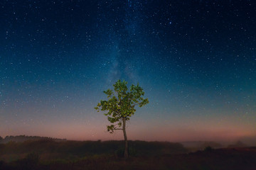 Fototapeta na wymiar Starry sky with Milky Way