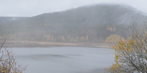 Nebel am See