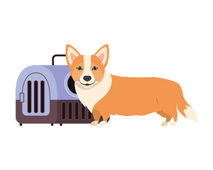 Fototapeta premium dog and pet transport box on white background