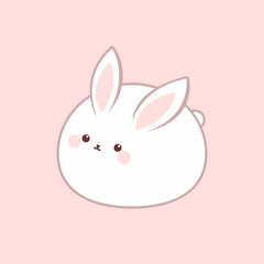 Cute fat rabbit