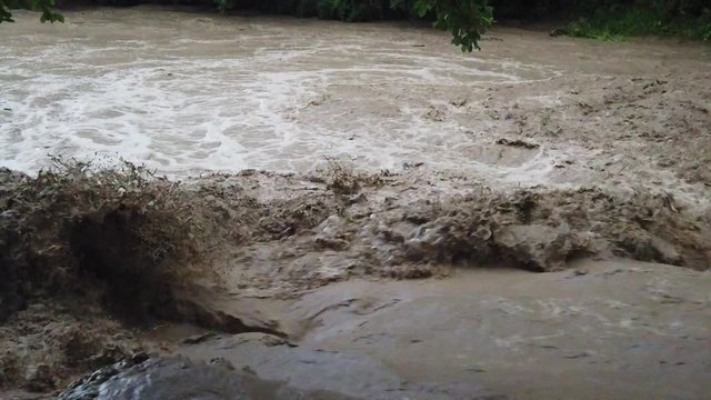 Involued muddy waters after heavy rain.Torrent of muddy waters after the rain.