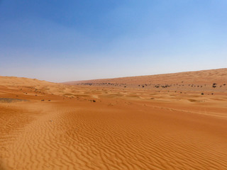 Fototapeta na wymiar Wahiba Sands (Rimal Al Wahiba, Ramlat al Wahiba, Wahiba Sands, Scharqiyya Sands) Sultanate of Oman