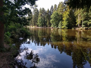 Reflejo del paisaje en lago