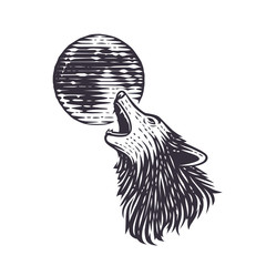 Vector illustration of the wolf.