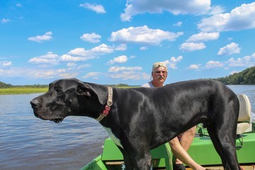 Active senior man enjoying a beautiful day on the Mattaponi River with his Great Dane dog on a green fishing boat