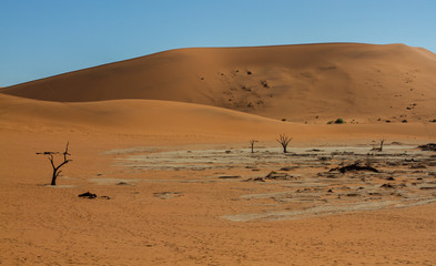 Fototapeta na wymiar Dead vlei mit toten Bäumen im Sossusvlei in der Wüste Namib in Namibia mit Dünen aus rotem Sand im Hintergrund