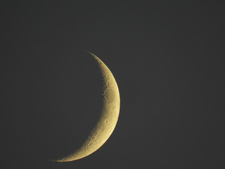 an increasing crescent moon stands in the evening sky