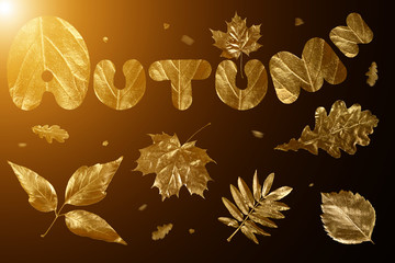 autumn composition of different Golden leaves and letters on black background