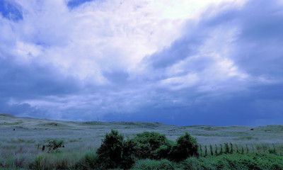 Dark afternoon sky of a field of grassy with an overgrown wire fence securing the land