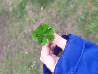 La magia de la naturaleza © MARTA