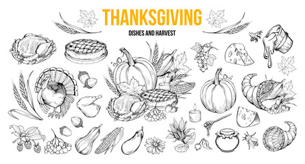 Thanksgiving coloring book illustrations set. Traditional autumn holiday celebration hand drawn symbols. Fall season harvest, natural vegetables. Turkey, pumpkin, honey and pie monochrome drawings