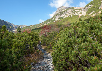 Great Cold Valley in Vysoke Tatry (High Tatras), Slovakia. The Great Cold Valley is 7 km long valley, very attractive for tourists