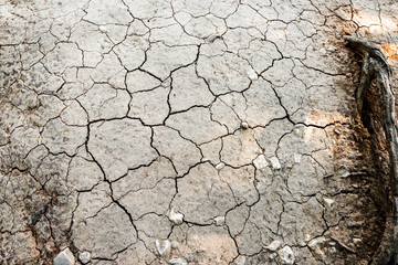 Top down view on dried cracked earth soil ground texture background. Mosaic pattern of sunny dried earth soil