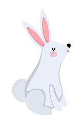 Isolated rabbit cartoon vector design