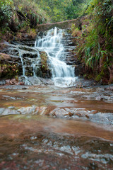waterfall in forest