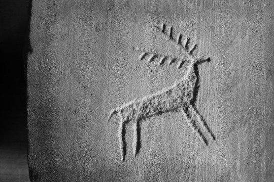 incisione rupestre di un cervo stilizzato