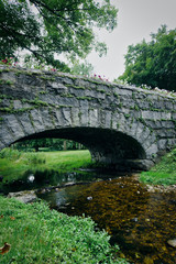 Stone bridge with flowers over a small brook