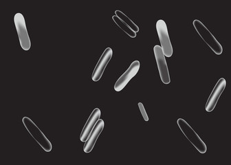 Micro bacterium and therapeutic bacteria organisms.