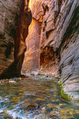 Steep Cliffs of the Zion Narrows in 'Wall Street'
