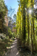 The beautiful path of the Hoces del Duraton natural park in Segovia, Spain