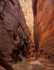 Zion Narrows and the Virgin River
