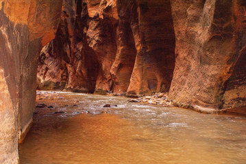 'Wall Street' Area of the Zion Narrows