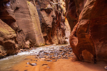Sand and Rocks in the Virgin Narrows