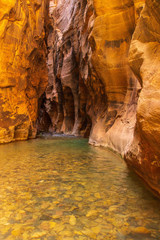 Light Reflected on the Walls of the Virgin Narrows